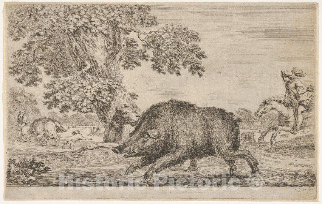 Art Print : A Wild Boar Running Towards The Left - Artist: Stefano Della Bella - Created: c1651 : Vintage Wall Art