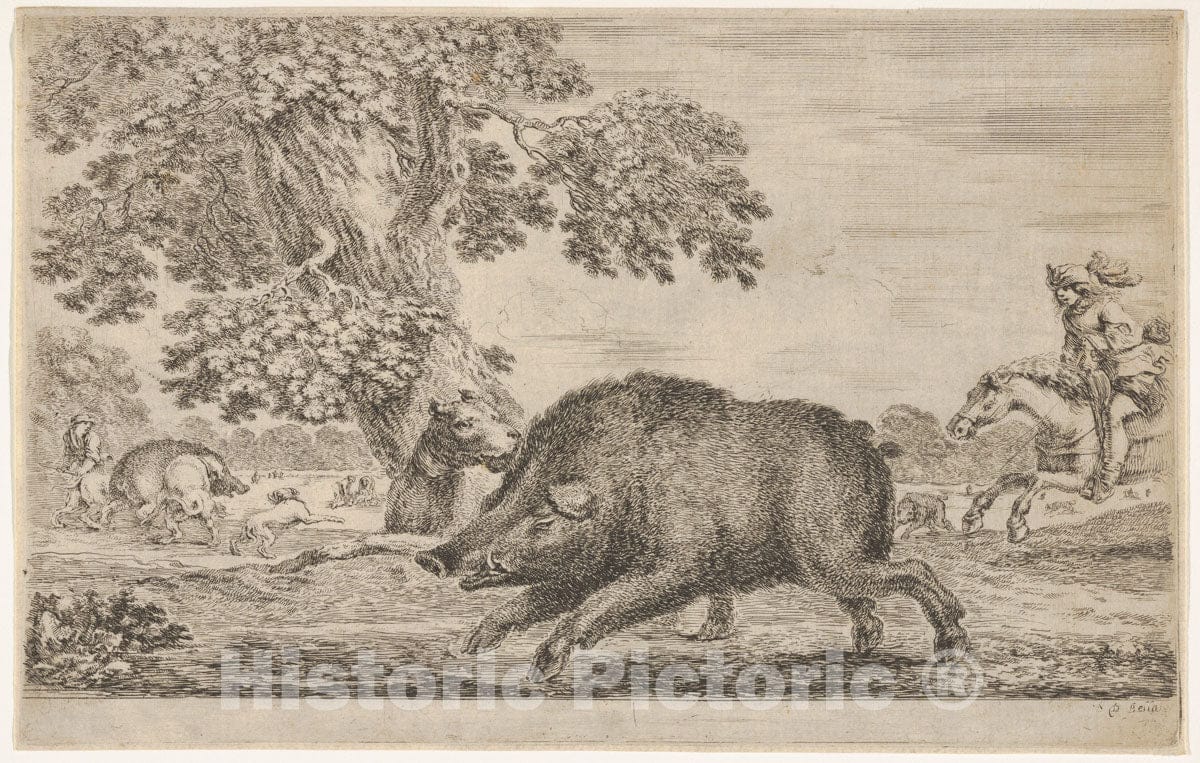 Art Print : A Wild Boar Running Towards The Left - Artist: Stefano Della Bella - Created: c1651 : Vintage Wall Art