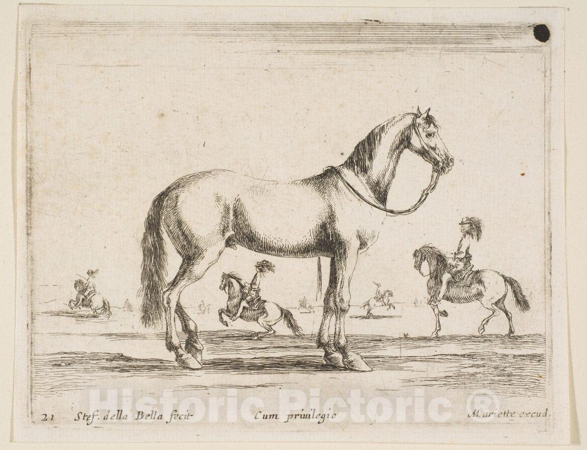 Art Print : Stefano Della Bella - Plate 21: Horse, from 'Various Animals' (Diversi animali) : Vintage Wall Art