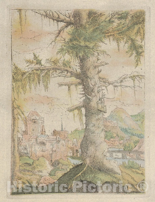 Art Print : Author of Meisterwerke der Graphik in XVIII jahrhundert, Alfred Stix - Facsimile Reproduction of The Small Spruce : Vintage Wall Art