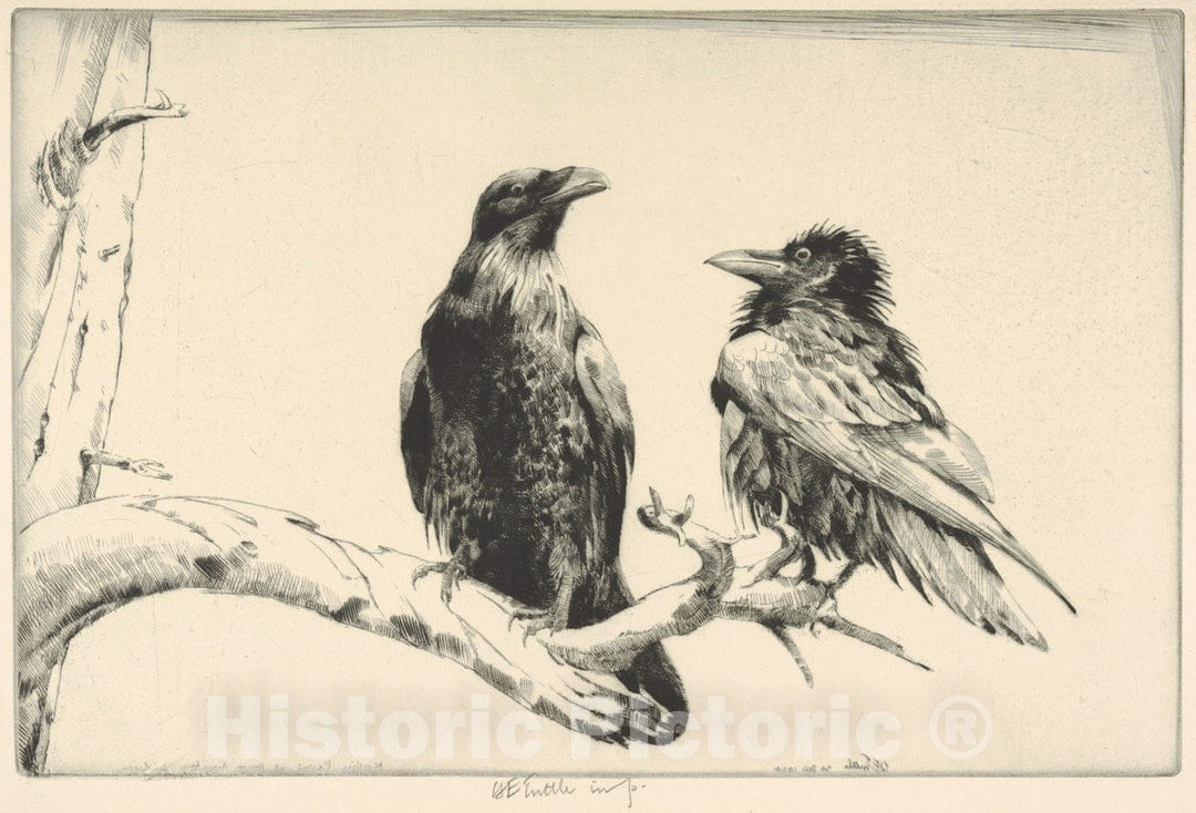 Art Print : Henry Emerson Tuttle - Conversation Piece - Ravens : Vintage Wall Art