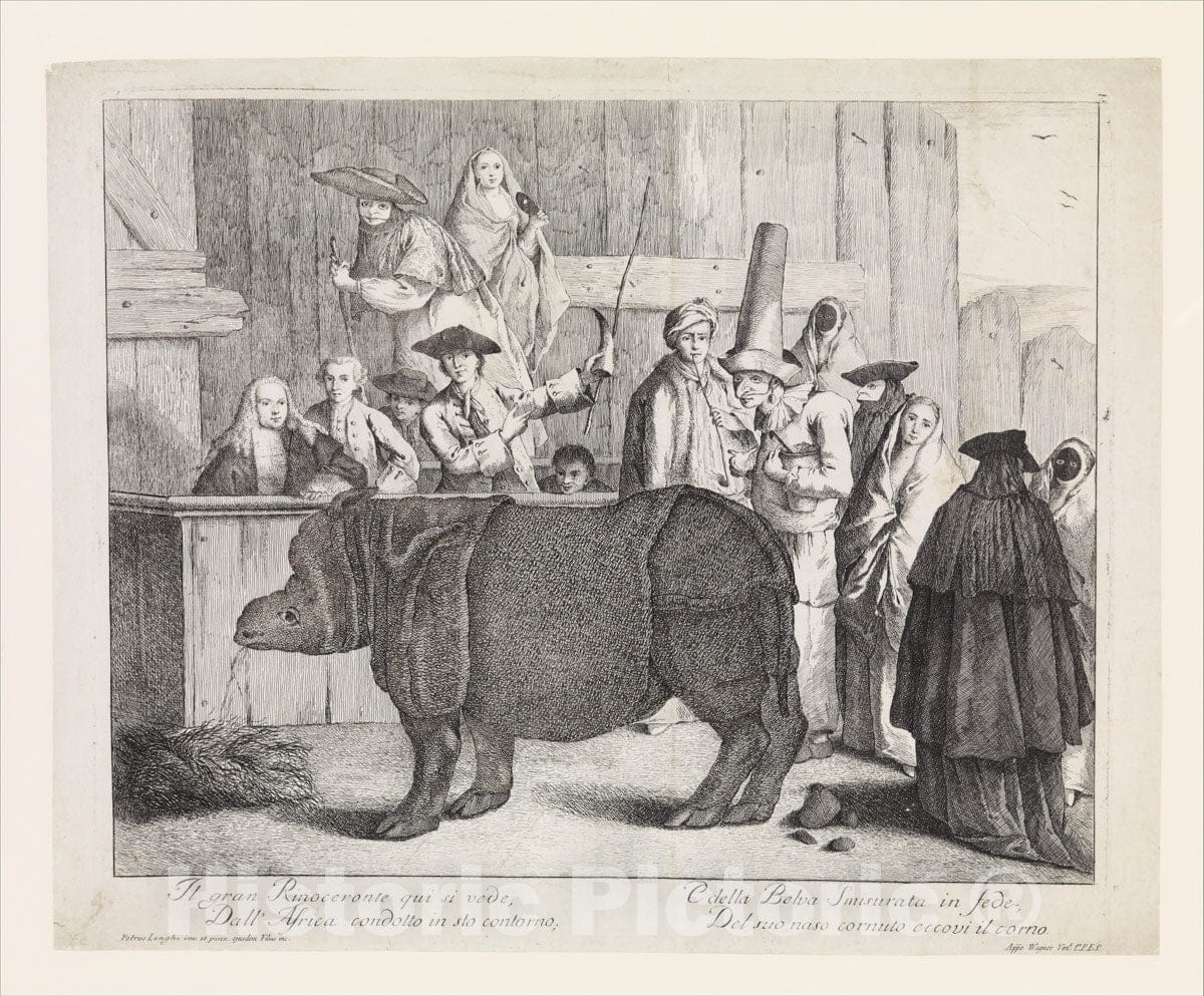 Art Print : Alessandro Longhi - The Rhinoceros : Vintage Wall Art