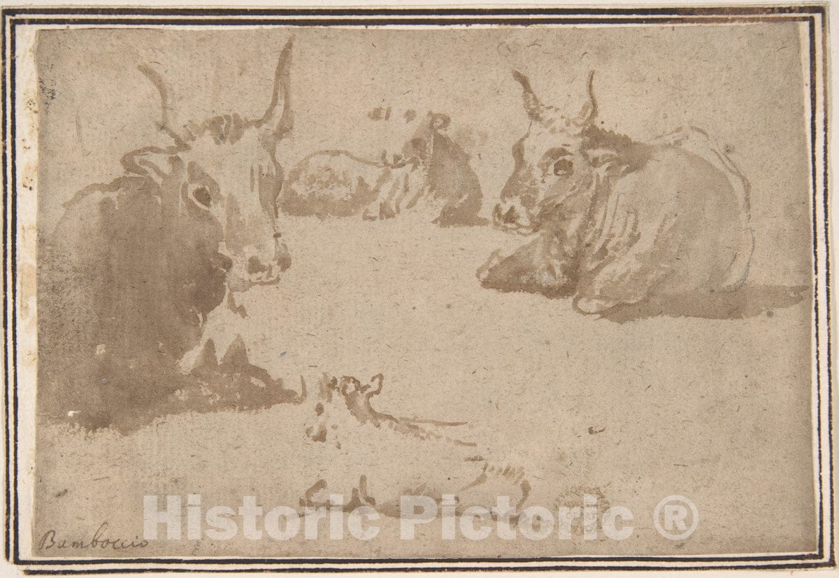 Art Print : Italian, Roman-Bolognese, 17th Century - Studies of Cattle : Vintage Wall Art