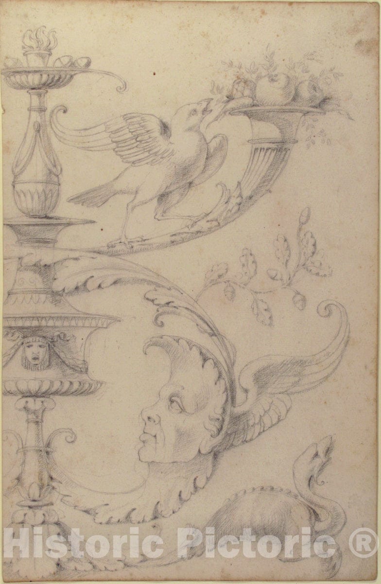 Art Print : Filippo Cretoni - Drawing of a Grotesque After a 16th-Century Decorative Relief. - 424297 : Vintage Wall Art