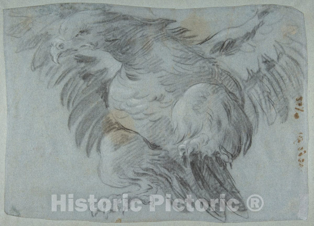 Art Print : Giovanni Battista Tiepolo - an Eagle with Wings Spread : Vintage Wall Art