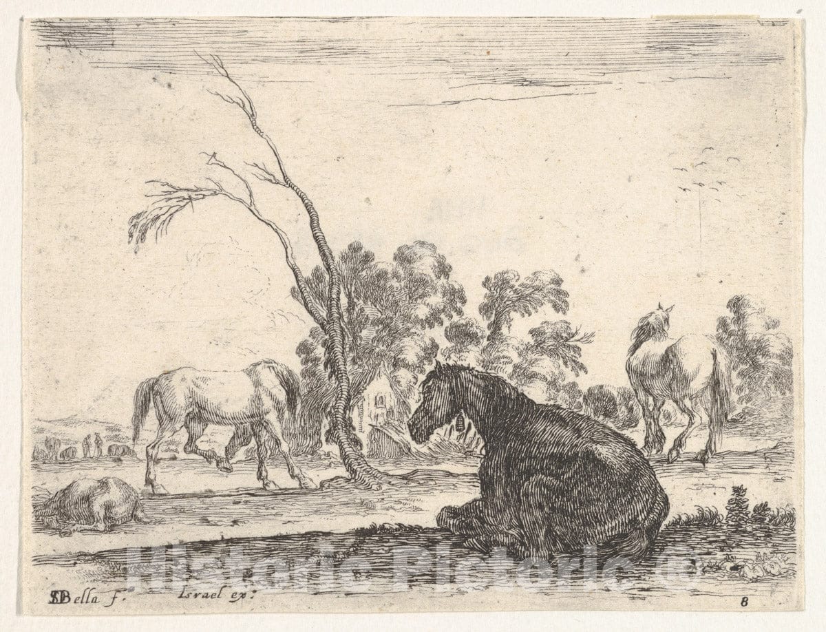 Art Print : Plate 8: a Seated Horse to Right - Artist: Stefano Della Bella - Created: 1642 2 : Vintage Wall Art