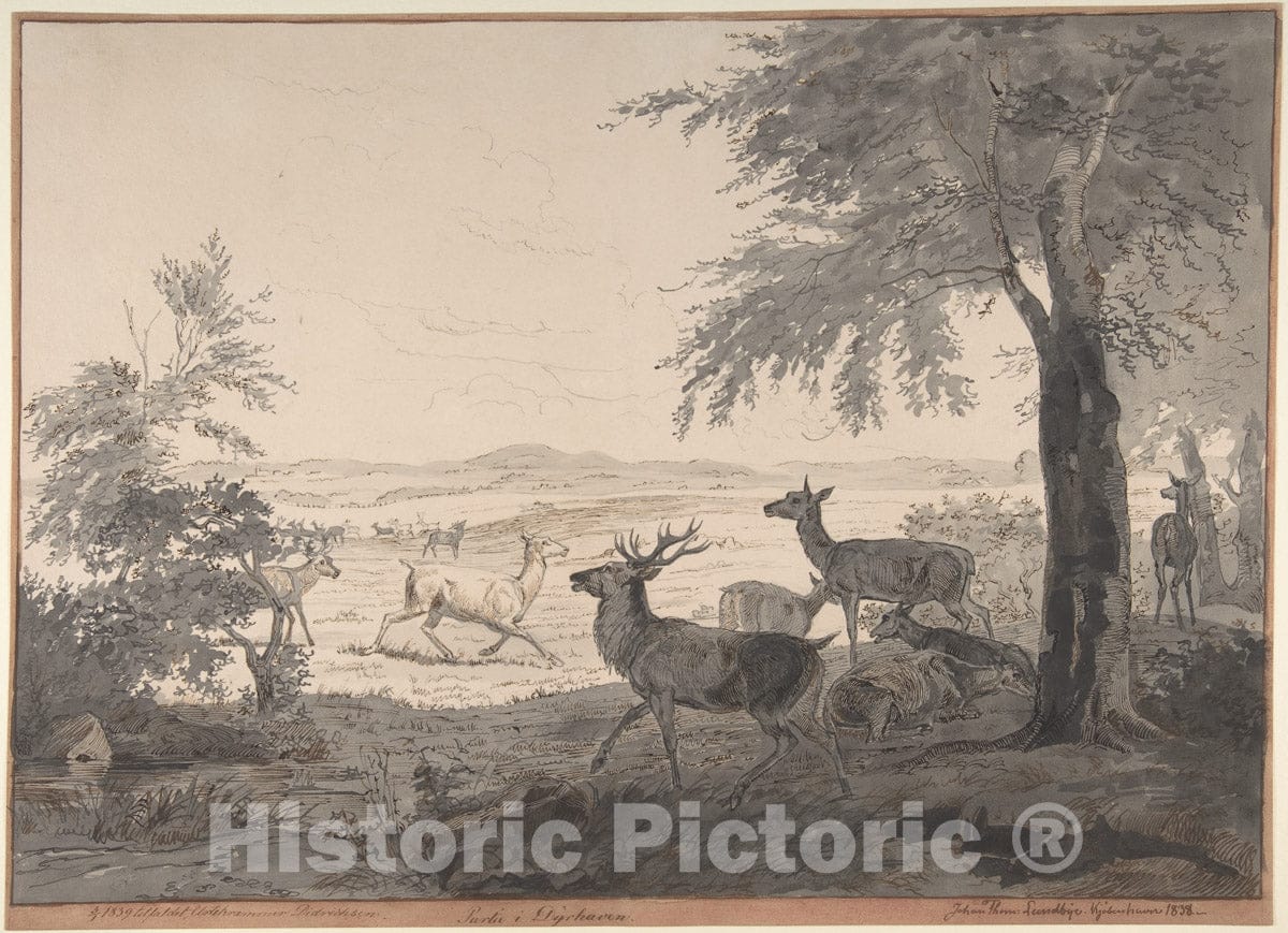 Art Print : Johan Thomas Lundbye - View of Dyrehaven : Vintage Wall Art