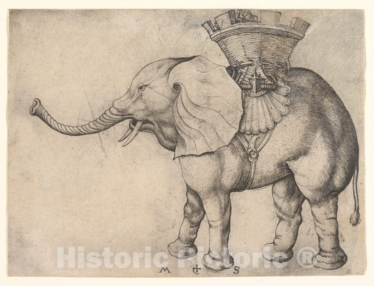 Art Print : Martin Schongauer - The Elephant : Vintage Wall Art