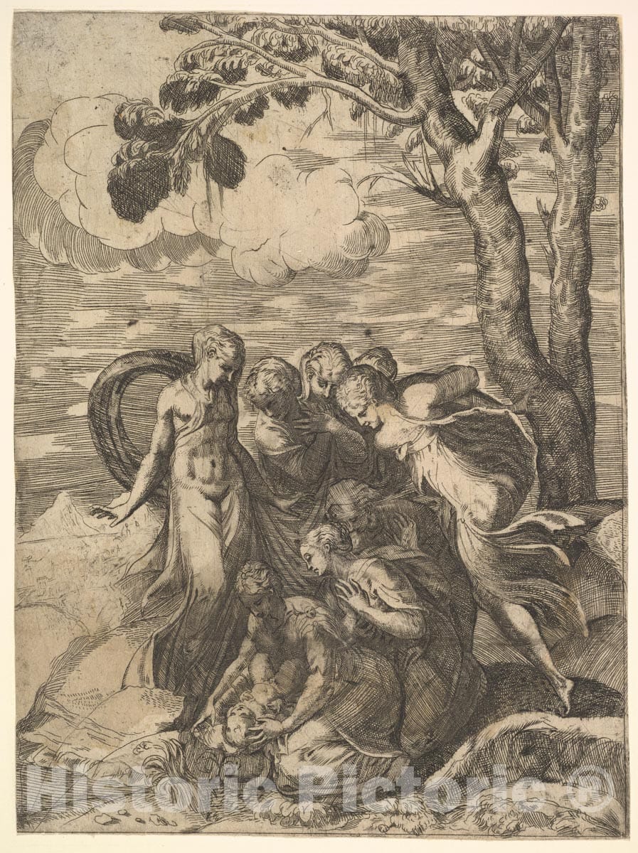 Art Print : Battista Angolo del Moro - Moses Rescued from The Nile : Vintage Wall Art