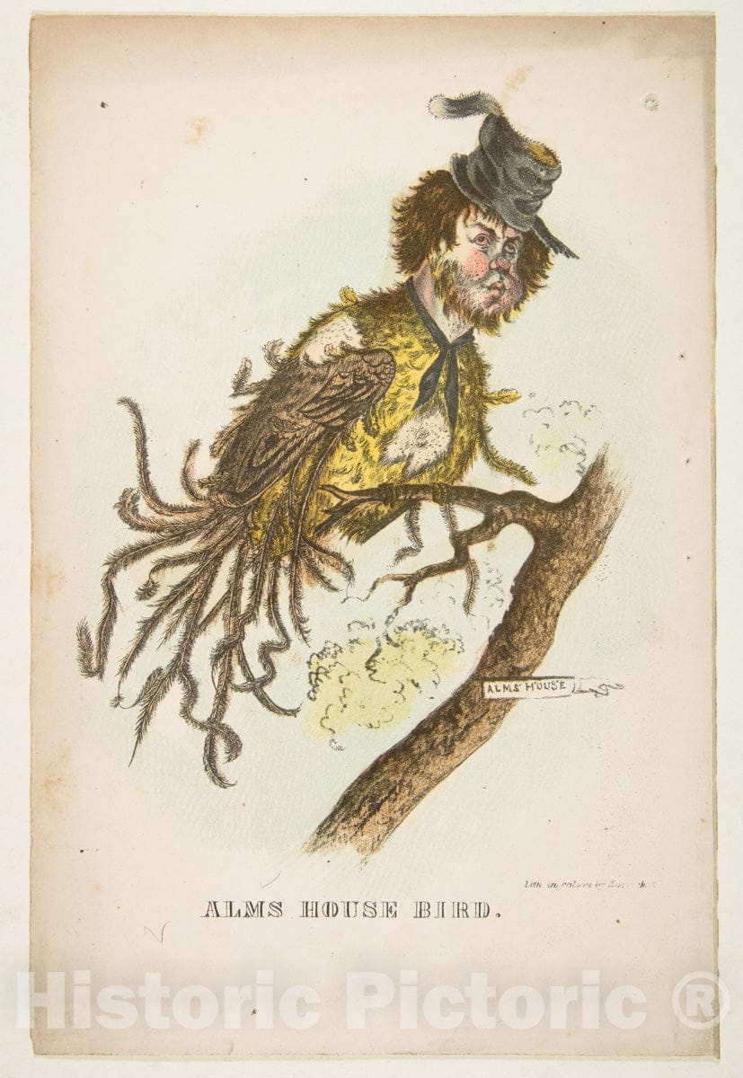 Art Print : Henry Louis Stephens - Alms House Bird, from The Comic Natural History of The Human Race : Vintage Wall Art