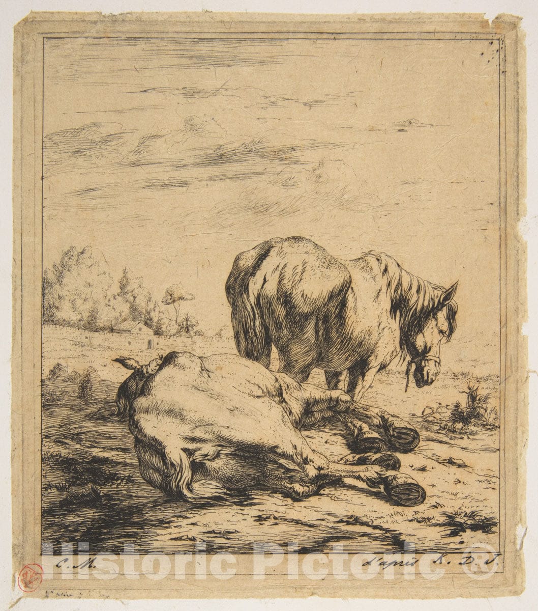 Art Print : Charles Meryon - Two Horses : Vintage Wall Art