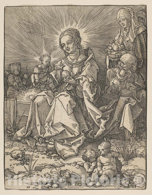 Art Print : Possibly Albrecht Dürer - The Madonna on a Grassy Bank : Vintage Wall Art