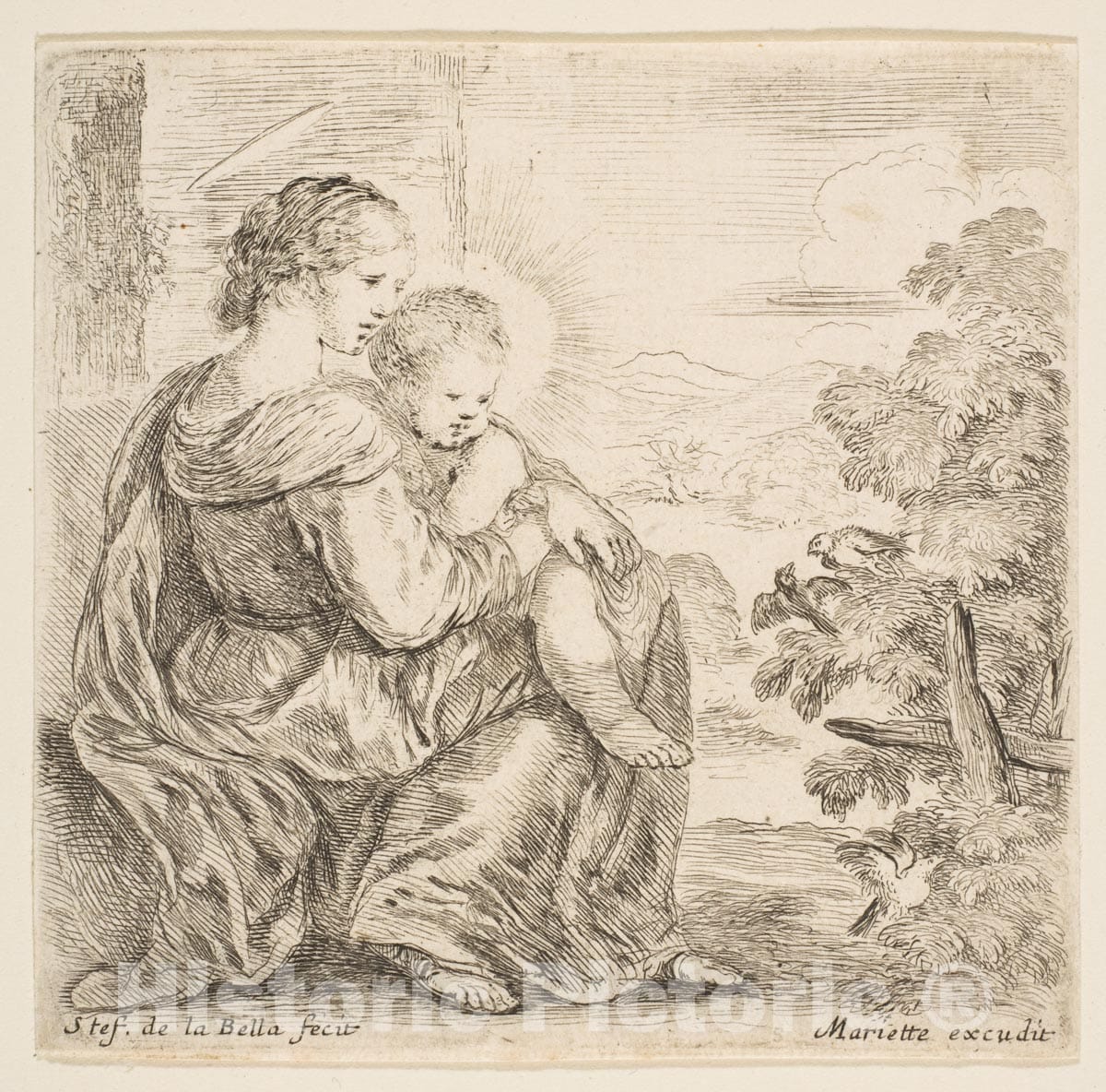 Art Print : Etched by Stefano Della Bella - Virgin and Christ Child 1 : Vintage Wall Art