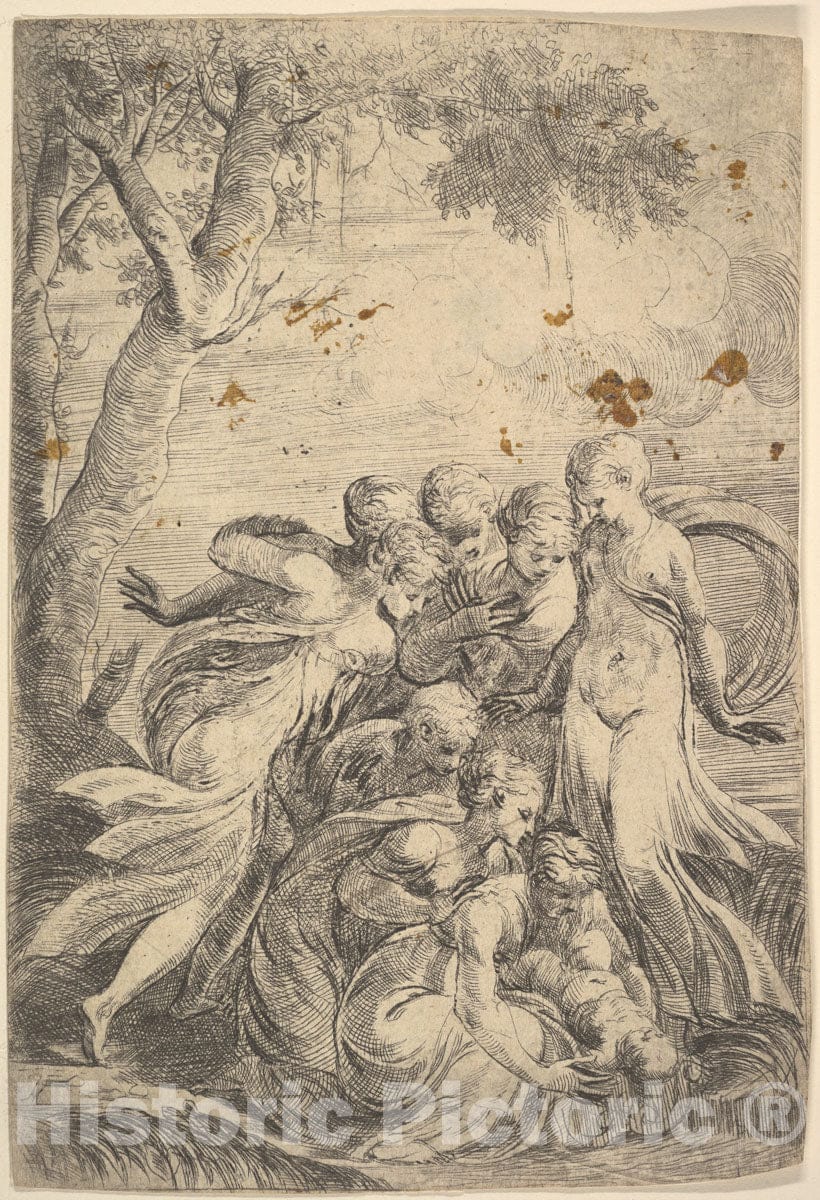 Art Print : Andrea Schiavone (Andrea Meldola) - The Infant Moses Rescued from The Nile : Vintage Wall Art
