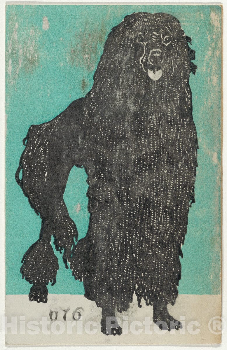Dragable Image
