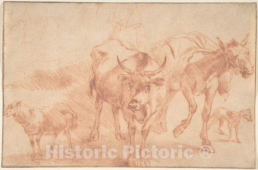Art Print : Nicolaes Berchem - Animal Studies : Vintage Wall Art