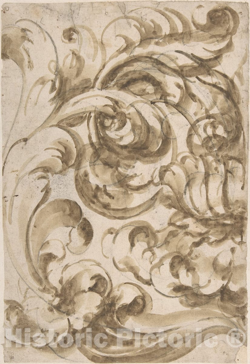 Art Print : Italian, 17th Century - Acanthus Scroll 2 : Vintage Wall Art