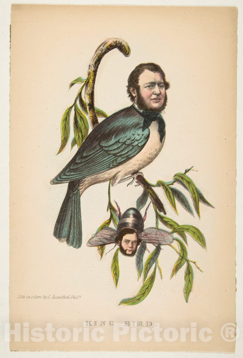 Art Print : Henry Louis Stephens - King Bird (Robert P. King and Alexander Baird), from The Comic Natural History of The Human Race : Vintage Wall Art