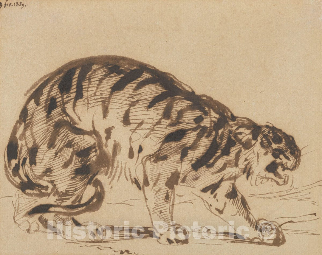 Art Print : Eugène Delacroix - Crouching Tiger : Vintage Wall Art
