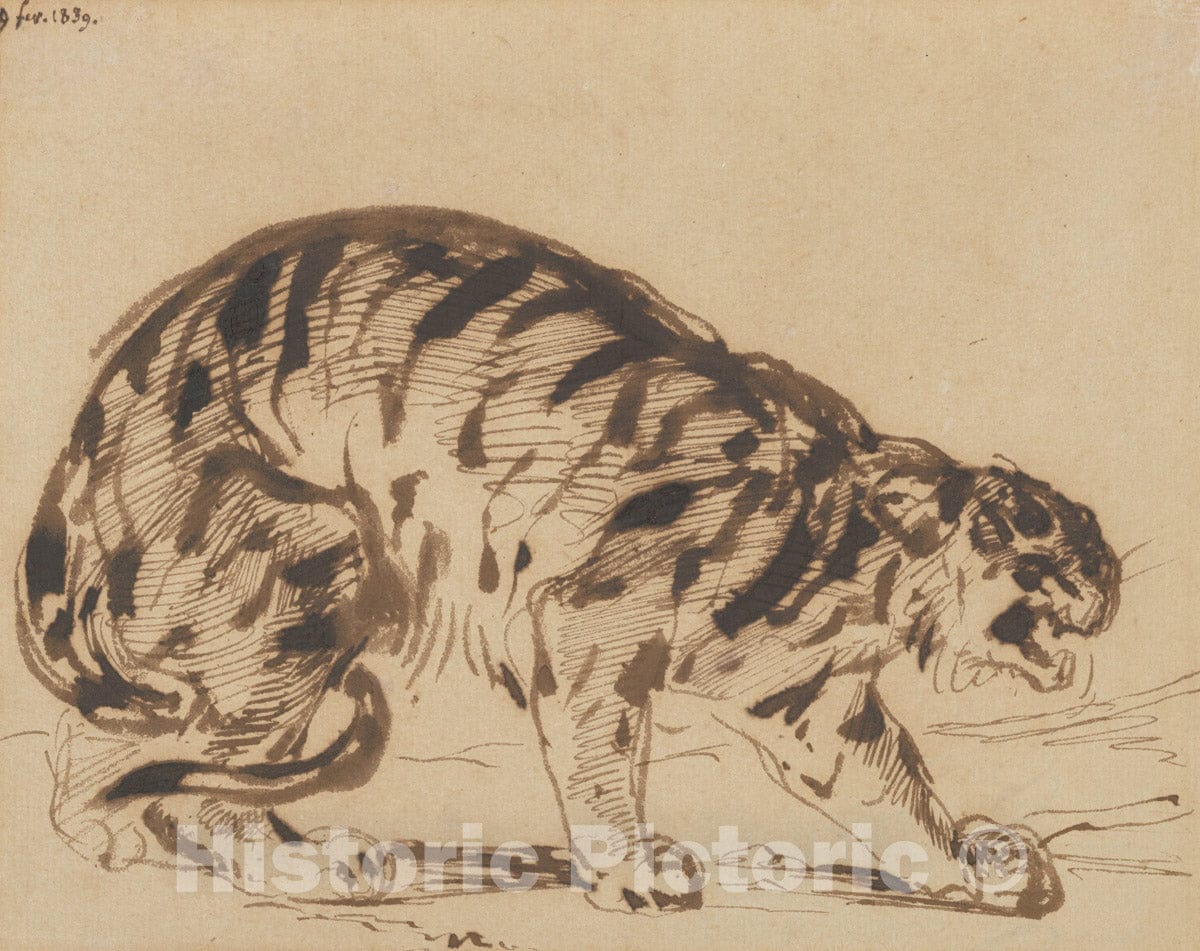 Art Print : Eugène Delacroix - Crouching Tiger : Vintage Wall Art