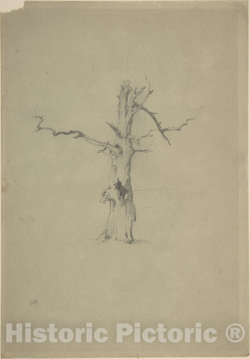 Art Print : Myles Birket Foster - Study of a Dead Tree : Vintage Wall Art