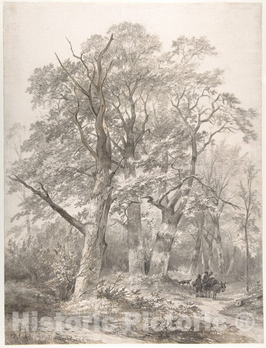 Art Print : Jacobus Pelgrom - A Forest with Two Men Conversing : Vintage Wall Art