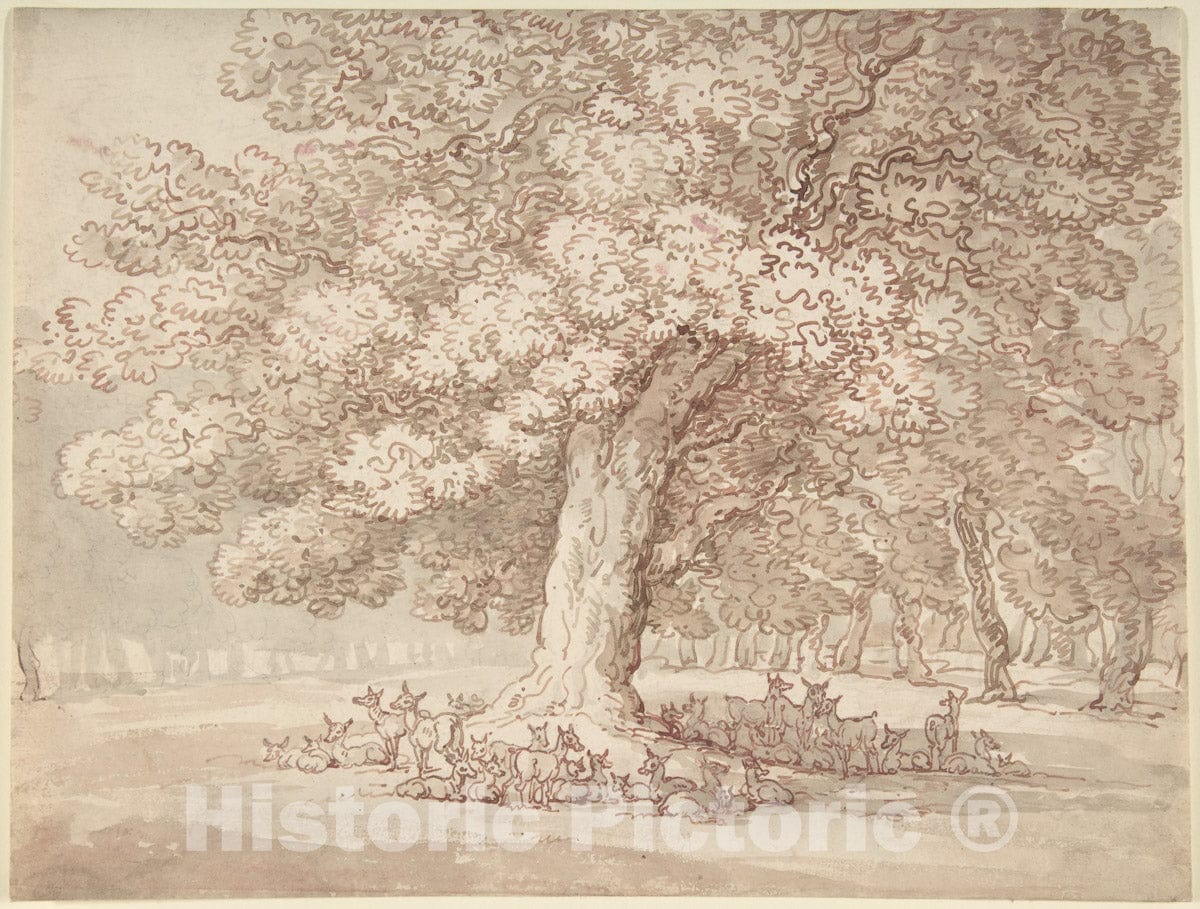 Art Print : Thomas Rowlandson - Herd of Deer Under an Oak Tree : Vintage Wall Art