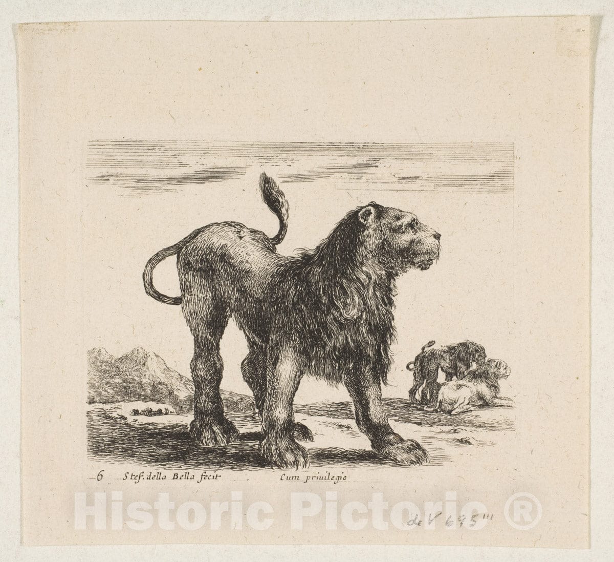 Art Print : Stefano Della Bella - Plate 6: Lion, from 'Various Animals' (Diversi animali) 1 : Vintage Wall Art