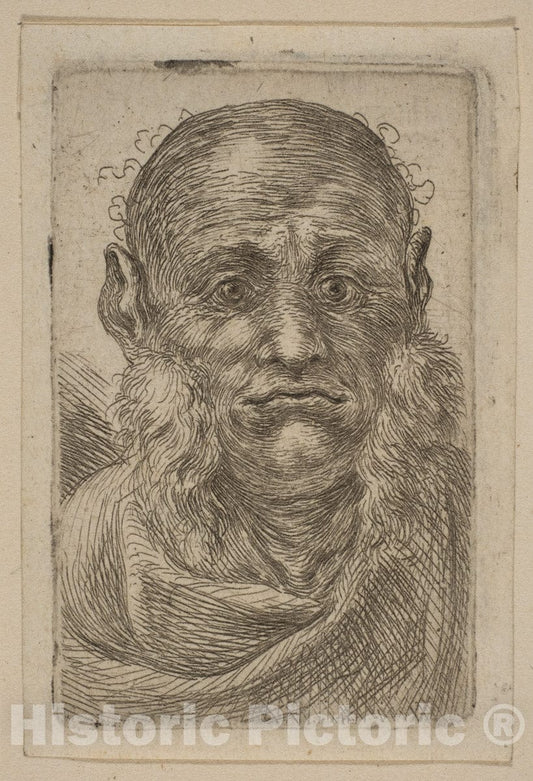 Art Print : Stefano Della Bella - Head of Old Man : Vintage Wall Art