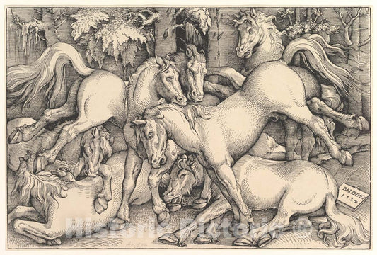 Art Print : Hans Baldung (Called Hans Baldung Grien) - Group of Seven Horses 2 : Vintage Wall Art