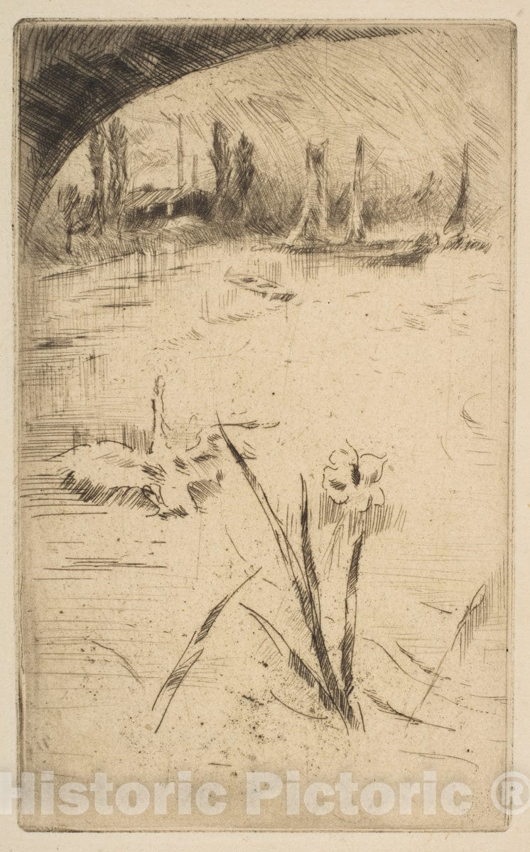 Art Print : James McNeill Whistler - Swan and Iris (Sketch After Cecil Lawson's Swan and Iris) 4 : Vintage Wall Art