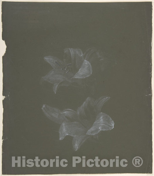 Art Print : Antoine Berjon - Floral Design - 426472 : Vintage Wall Art