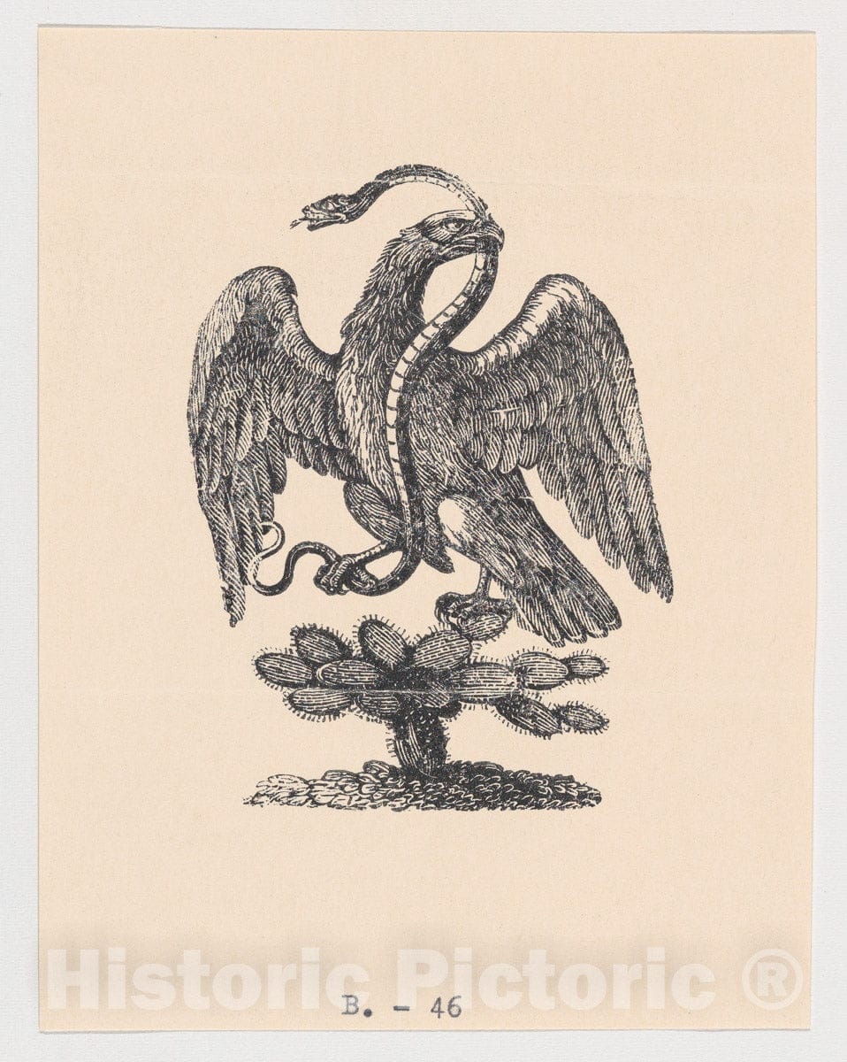 Art Print : Anonymous - an Eagle Resting on a Cactus Holding a Snake in its Beak (from The Mexican Coat of arms) : Vintage Wall Art
