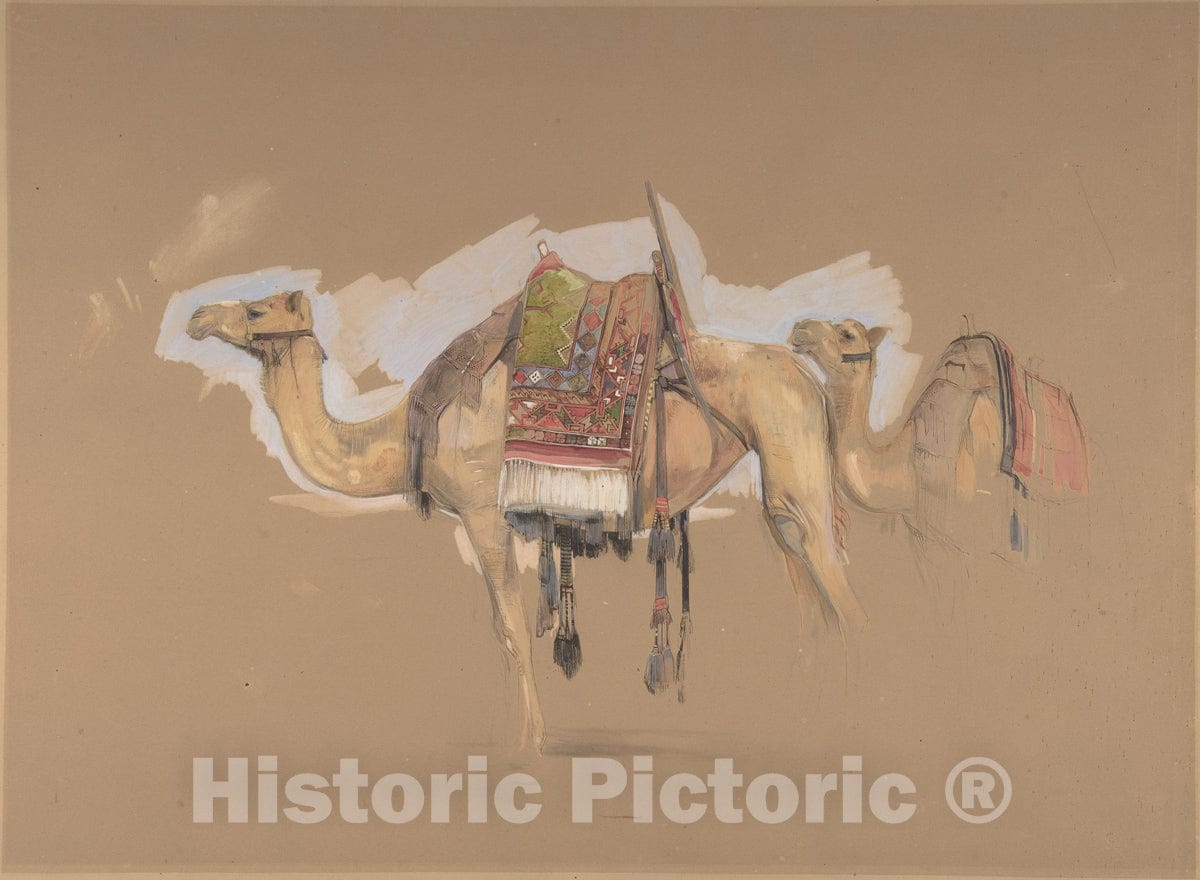 Art Print : John Frederick Lewis - Two Camels : Vintage Wall Art