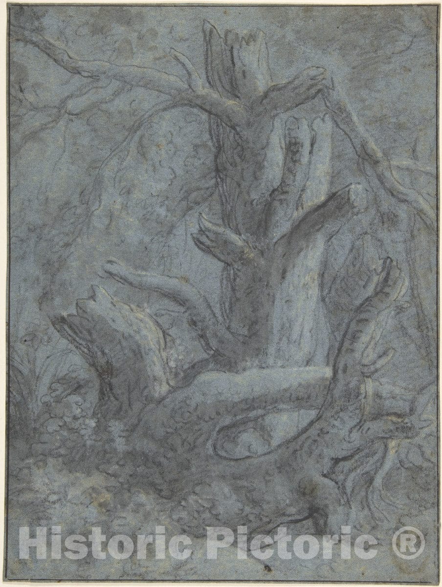 Art Print : Simon de Vlieger - Study of a Blasted Tree Trunk and Branches : Vintage Wall Art