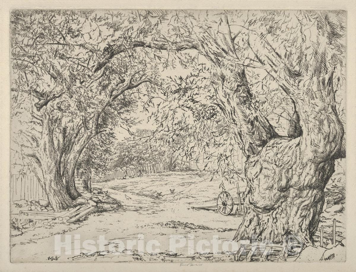 Art Print : Ernest Haskell - Winnegance Willows : Vintage Wall Art