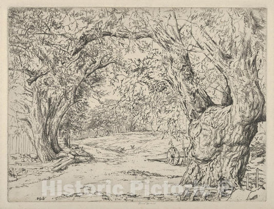 Art Print : Ernest Haskell - Winnegance Willows : Vintage Wall Art