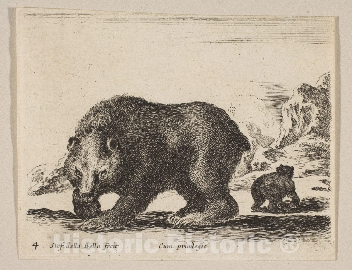 Art Print : Stefano Della Bella - Plate 4: Bear, from 'Various Animals' (Diversi animali) 1 : Vintage Wall Art