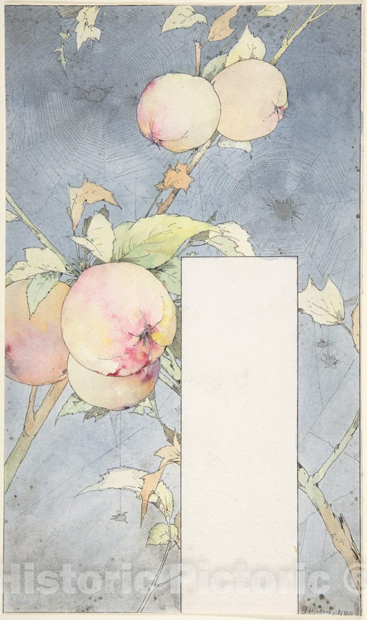 Art Print : Jules-August Habert-DYS - Boughs from an Apple Tree with Spiders' Webs : Vintage Wall Art
