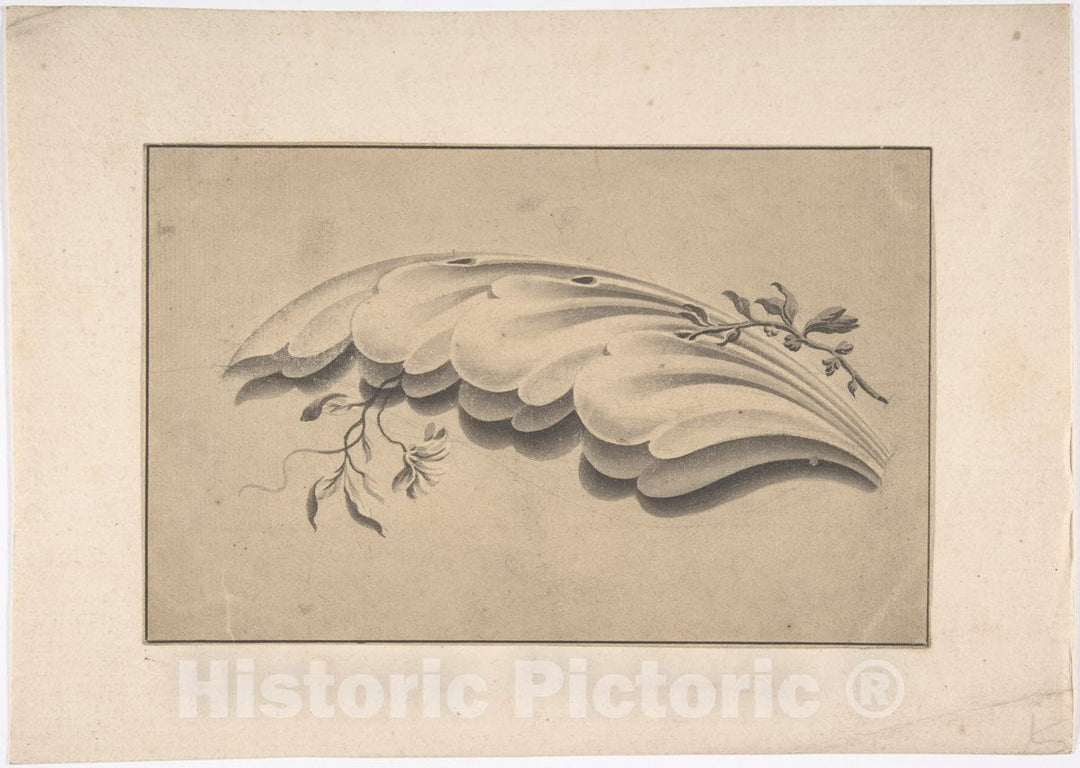 Art Print : British, 19th Century - Acanthus Leaf and Flowering Vine Ornament : Vintage Wall Art