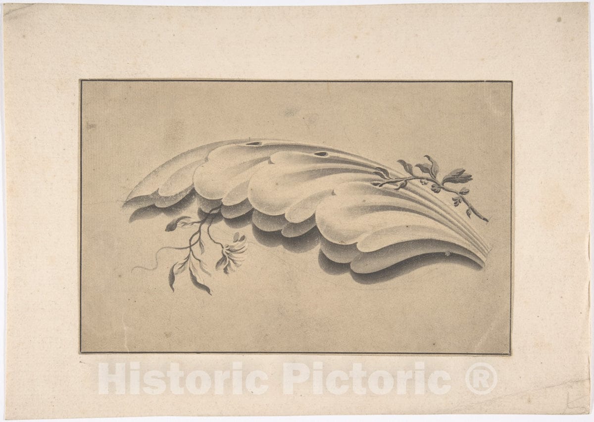 Art Print : British, 19th Century - Acanthus Leaf and Flowering Vine Ornament : Vintage Wall Art
