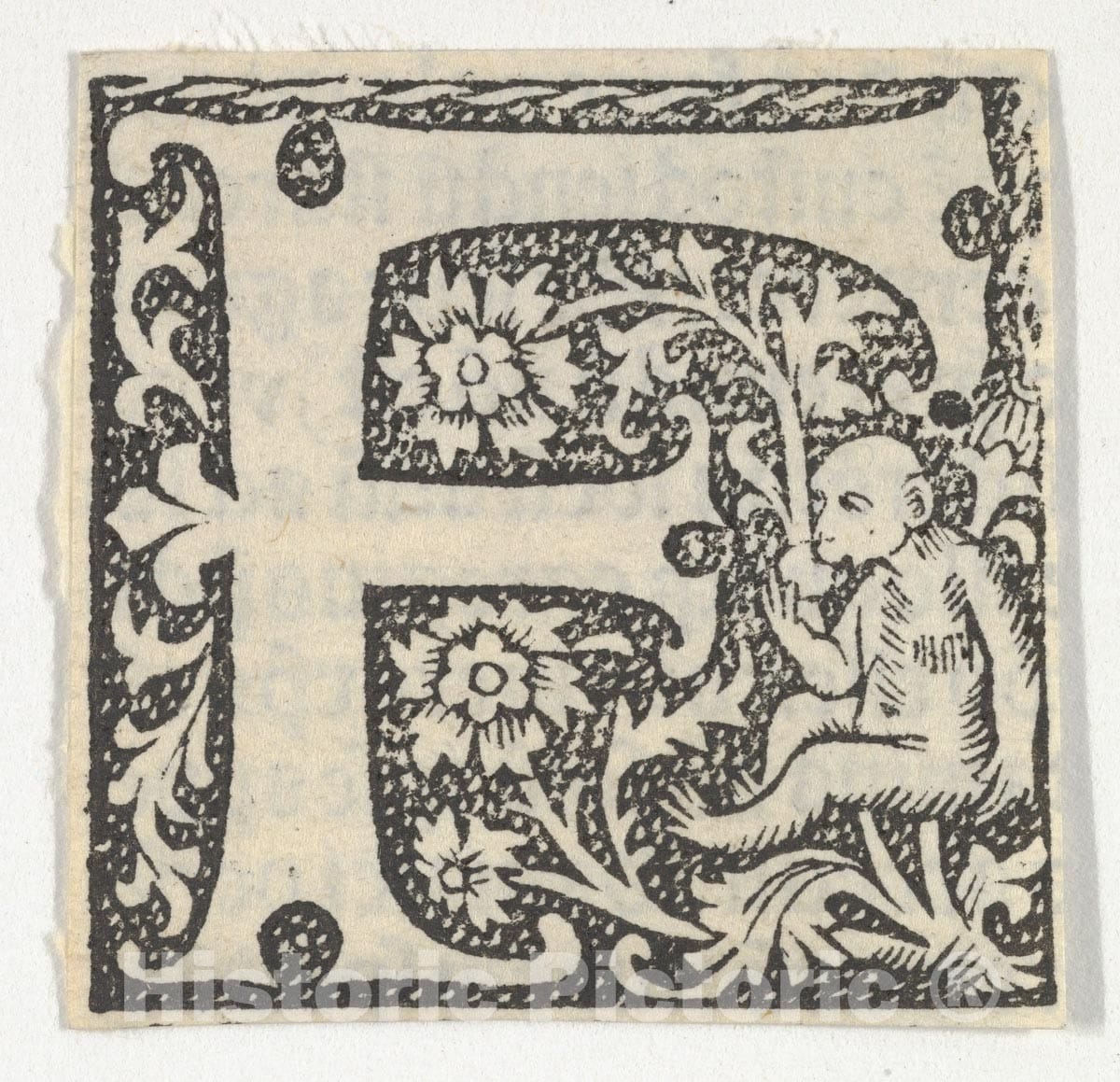 Art Print : Anonymous, French, 15th Century - Decorated Roman Alphabet - 426870 : Vintage Wall Art