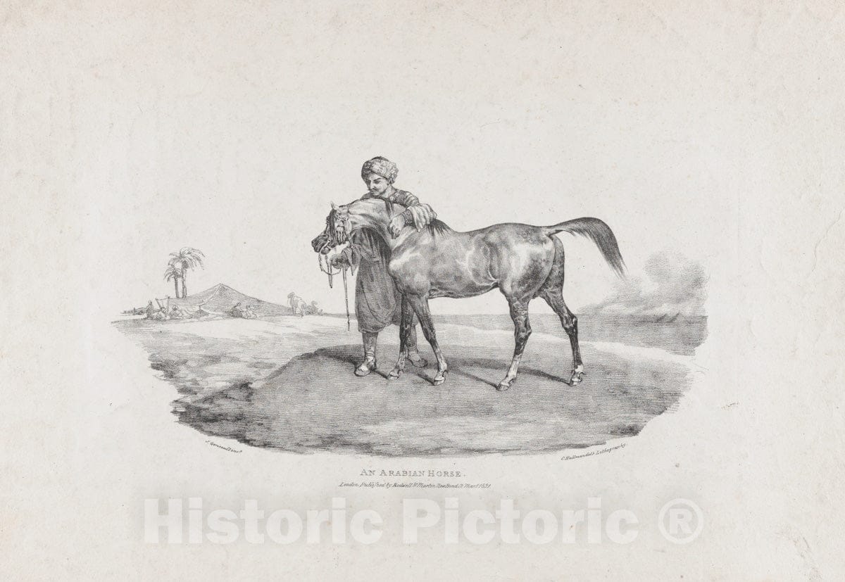 Art Print : Théodore Gericault - an Arabian Horse : Vintage Wall Art