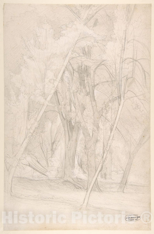 Art Print : Henri-Joseph Harpignies - Forest Interior : Vintage Wall Art