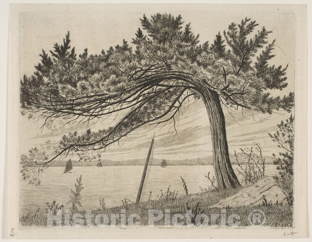 Art Print : Henry Farrer - Pelham Bay : Vintage Wall Art