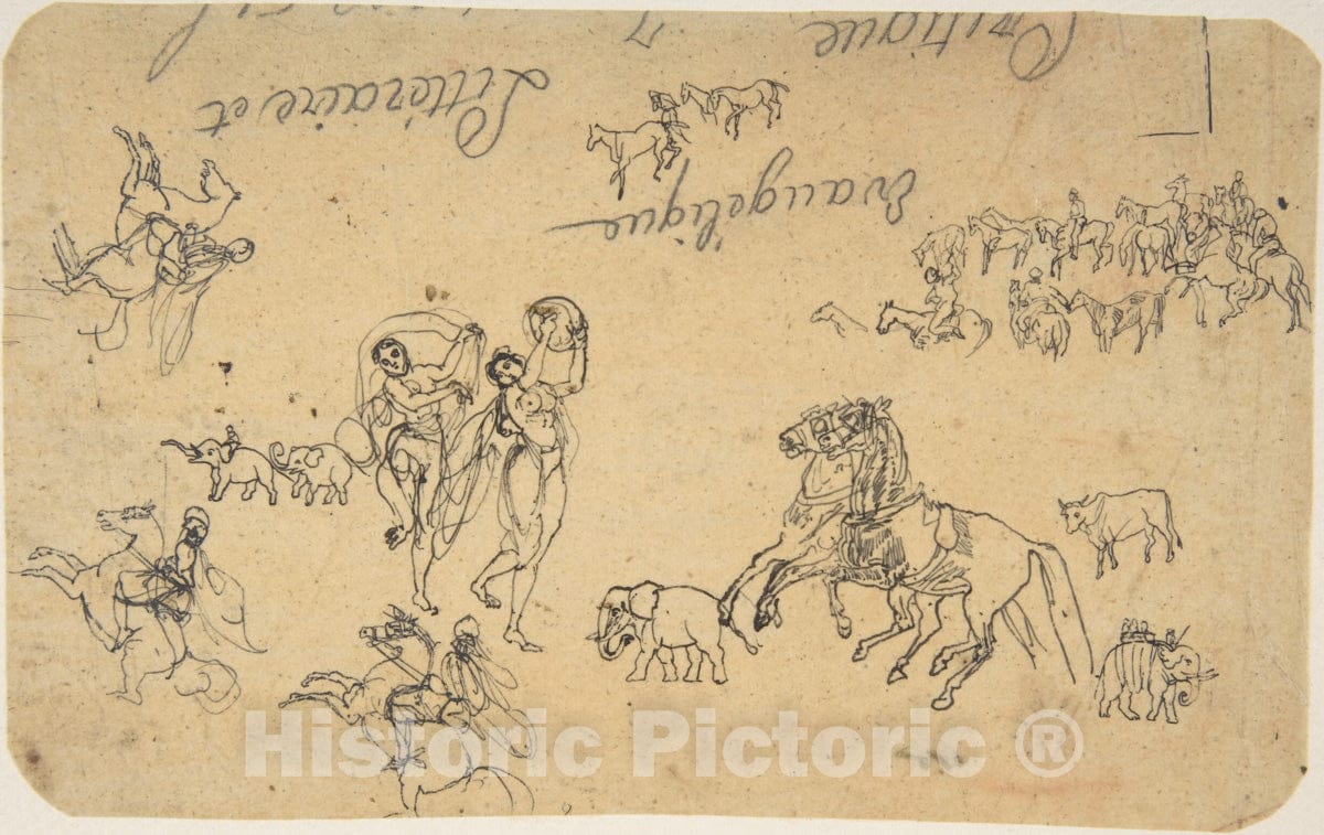 Art Print : Rodolphe Bresdin - Various Studies : Vintage Wall Art