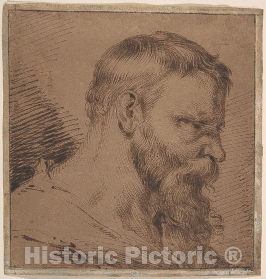 Art Print : Jacques de Gheyn, III - Bearded Head, Looking Down to The Right : Vintage Wall Art