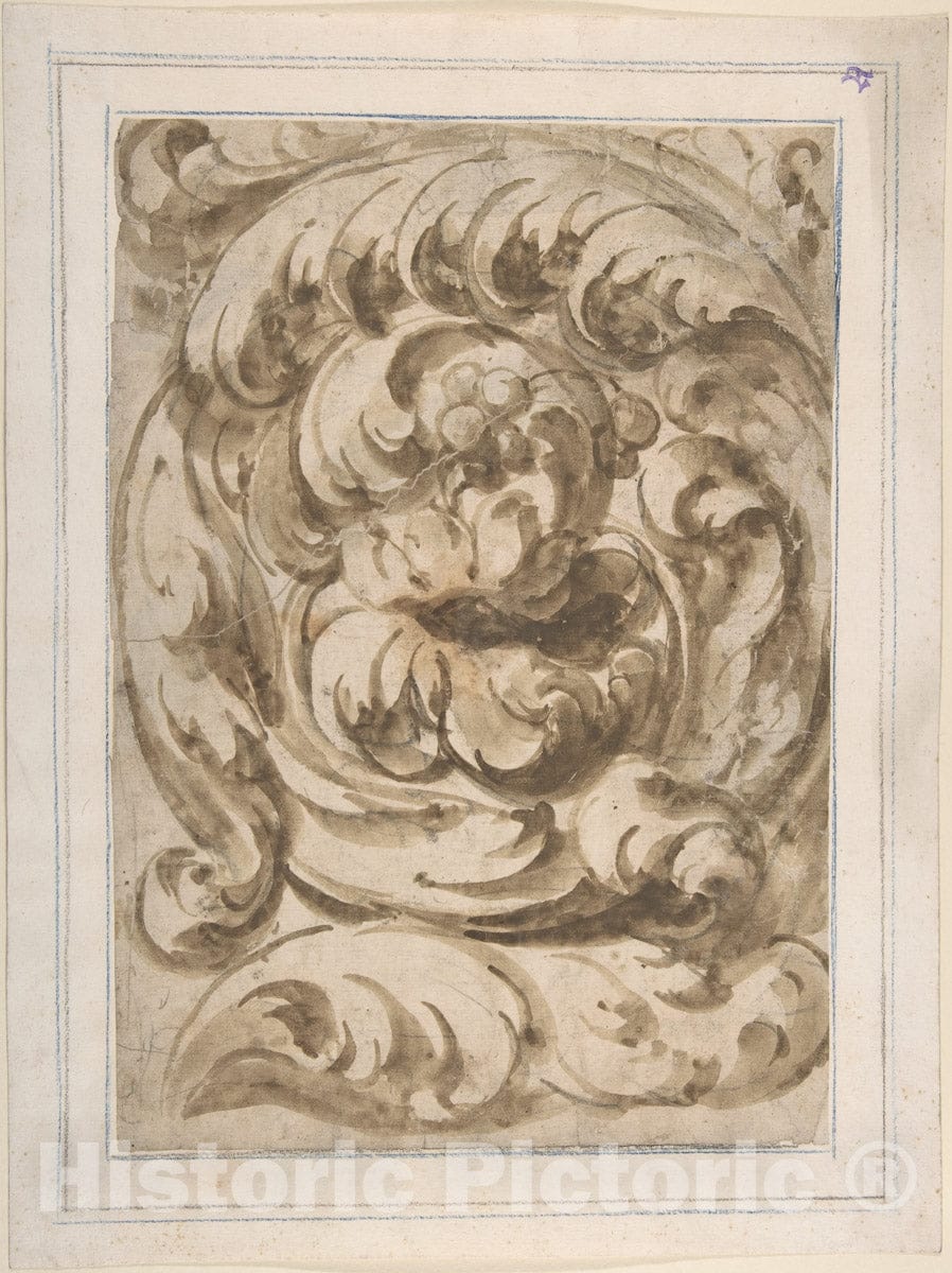 Art Print : Italian, 17th Century - Acanthus Scroll 3 : Vintage Wall Art