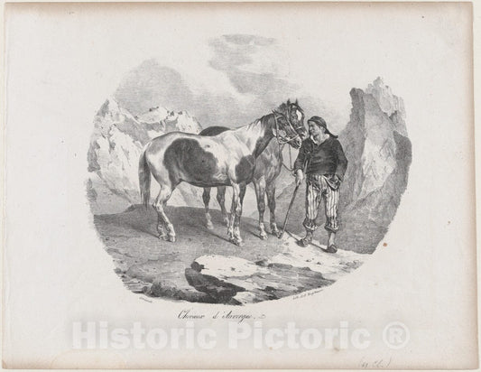 Art Print : Théodore Gericault - Horses of Auvergne : Vintage Wall Art