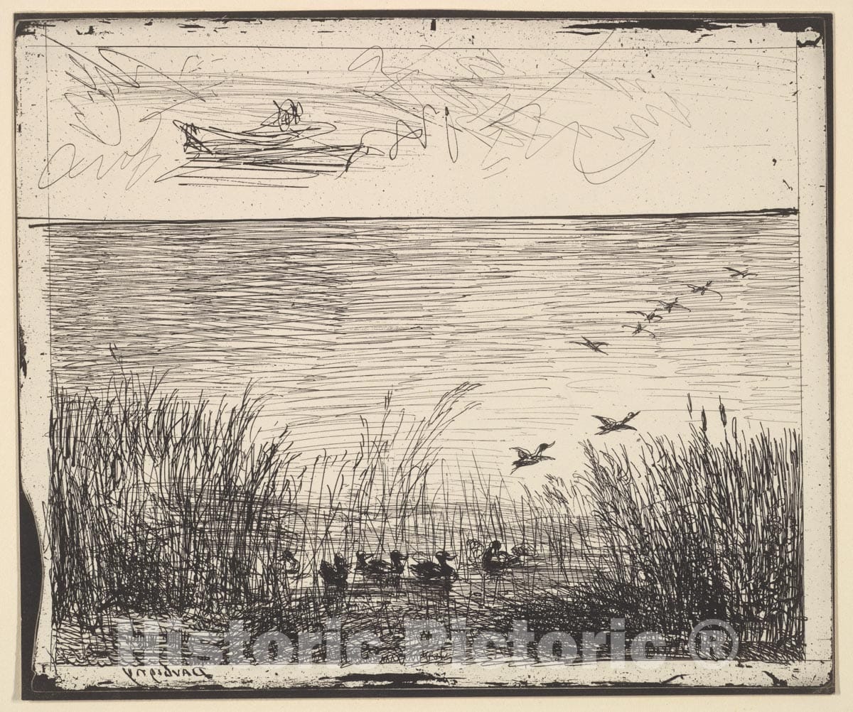 Art Print : Charles-François Daubigny - Ducks in The Marshes 2 : Vintage Wall Art